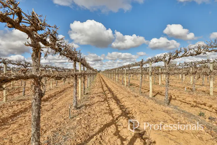 Third view of Homely rural property listing, Lots 2 & 3 Fifth Street, Nichols Point VIC 3501