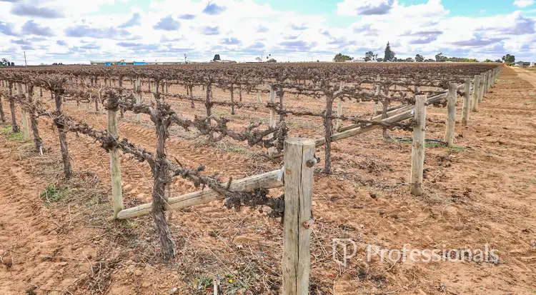 Fourth view of Homely rural property listing, Lots 2 & 3 Fifth Street, Nichols Point VIC 3501