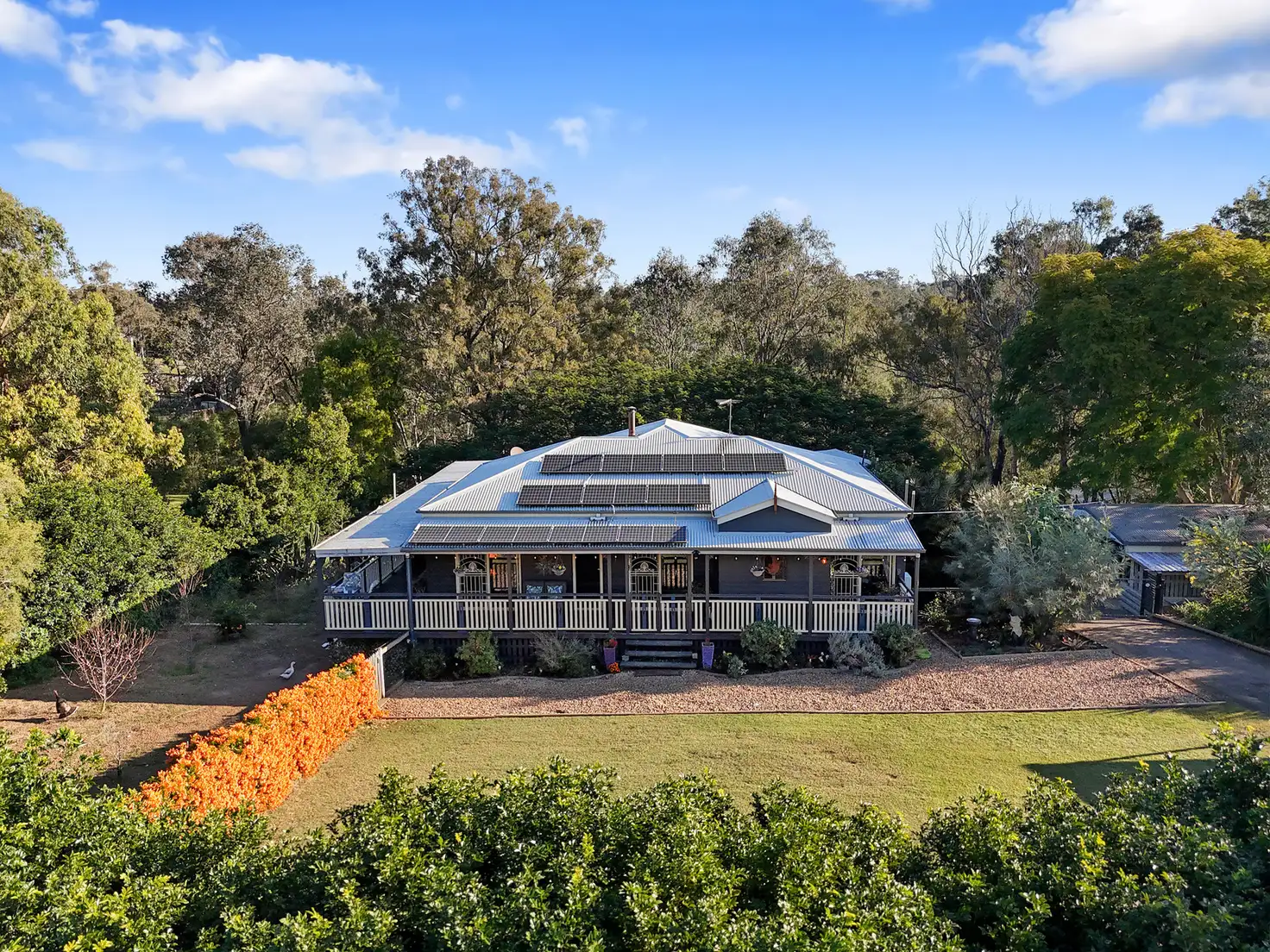 Main view of Homely house listing, 8 Mamaku Street, Fernvale QLD 4306