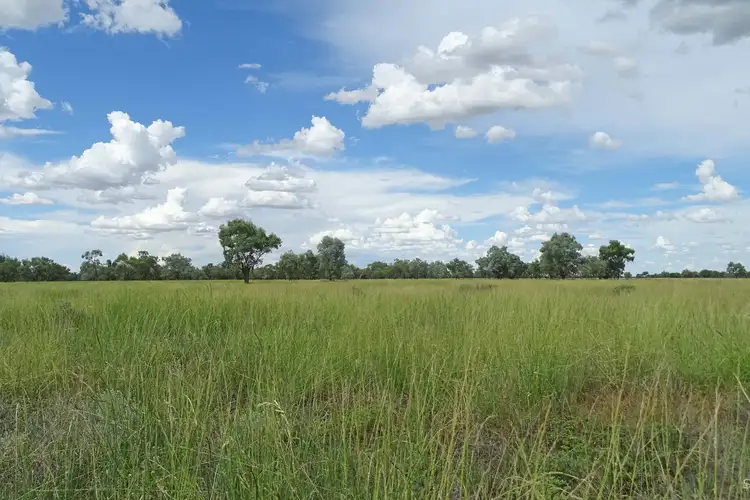 Sixth view of Homely rural property listing, 645 Kamilaroi Highway, Bourke NSW 2840