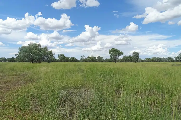 Seventh view of Homely rural property listing, 645 Kamilaroi Highway, Bourke NSW 2840