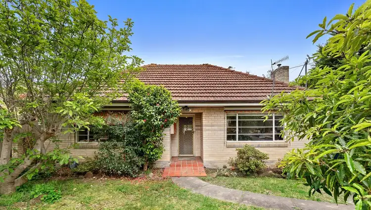 Main view of Homely house listing, 39 Campbell Street, Frankston VIC 3199
