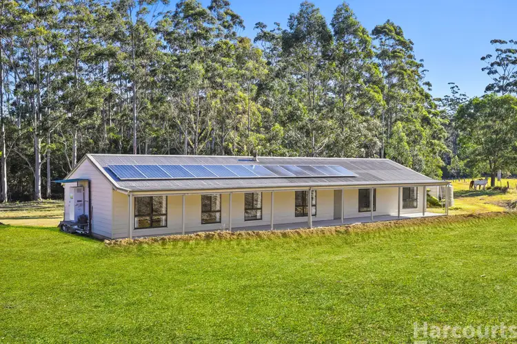 Main view of Homely rural property listing, 568 Old Coast Road, Kundabung NSW 2441