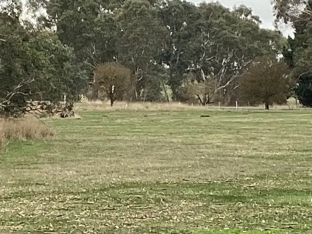 Second view of Homely rural property listing, 1233 Waubra-Talbot Road, Evansford VIC 3371