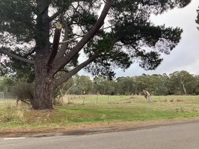 Fifth view of Homely rural property listing, 1233 Waubra-Talbot Road, Evansford VIC 3371