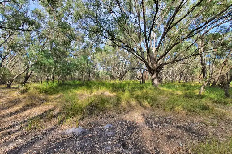 Main view of Homely rural property listing, LOT 12 Nullilla Road, Breera WA 6503
