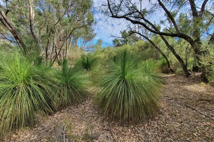 Second view of Homely rural property listing, LOT 12 Nullilla Road, Breera WA 6503