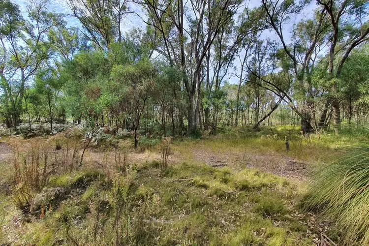 Third view of Homely rural property listing, LOT 12 Nullilla Road, Breera WA 6503