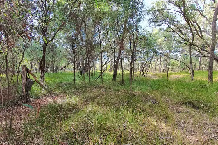 Sixth view of Homely rural property listing, LOT 12 Nullilla Road, Breera WA 6503