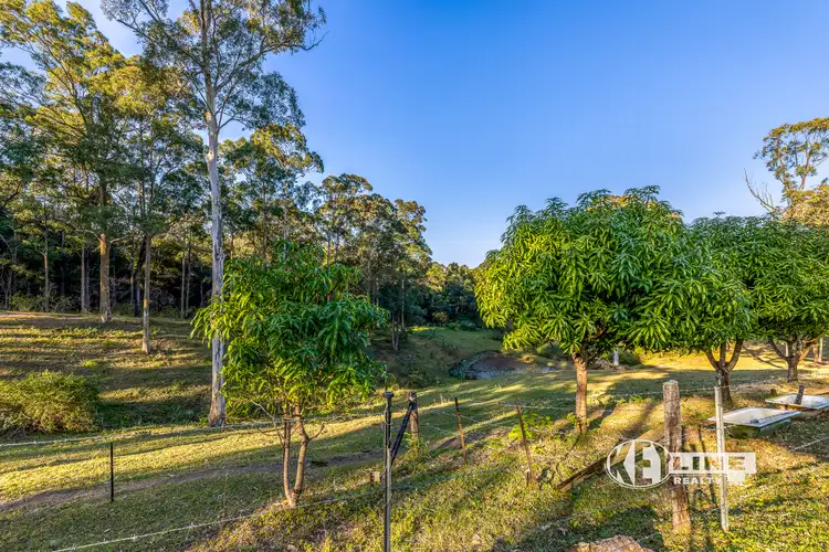 Third view of Homely house listing, 532 Wilson Road, Tanawha QLD 4556