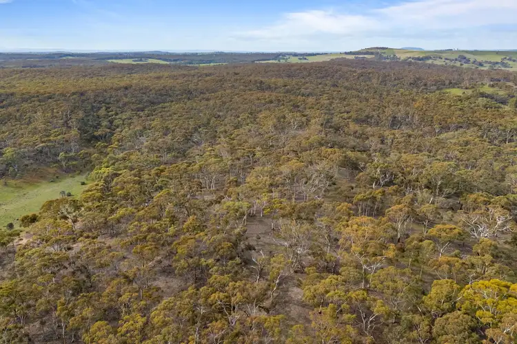 Fifth view of Homely rural property listing, CA 16B & 1 Deep Creek Road, Campbelltown VIC 3364