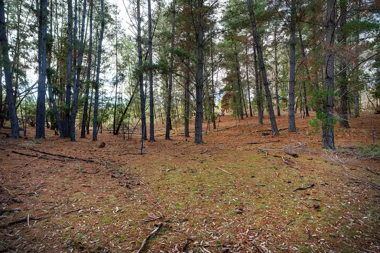 Fourth view of Homely land listing, 115 Specimen Gully Road, Barkers Creek VIC 3451