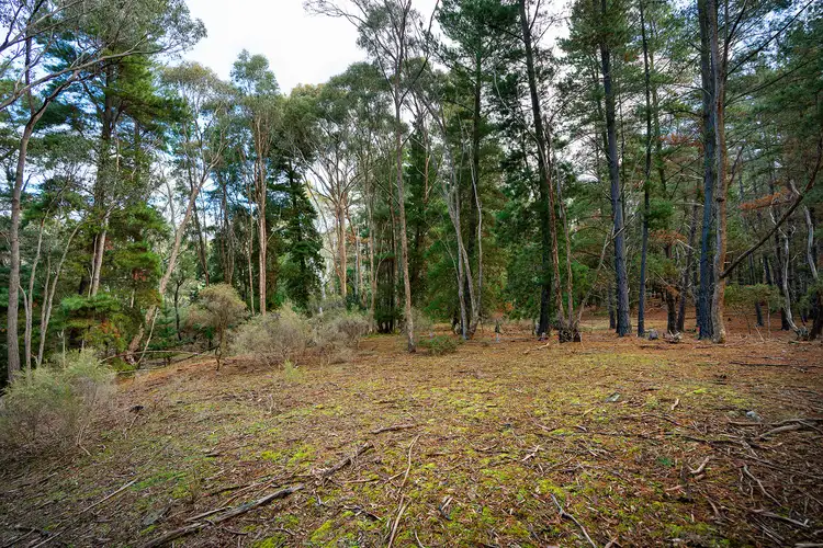 Fifth view of Homely land listing, 115 Specimen Gully Road, Barkers Creek VIC 3451