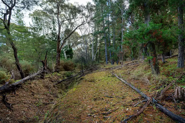 Sixth view of Homely land listing, 115 Specimen Gully Road, Barkers Creek VIC 3451