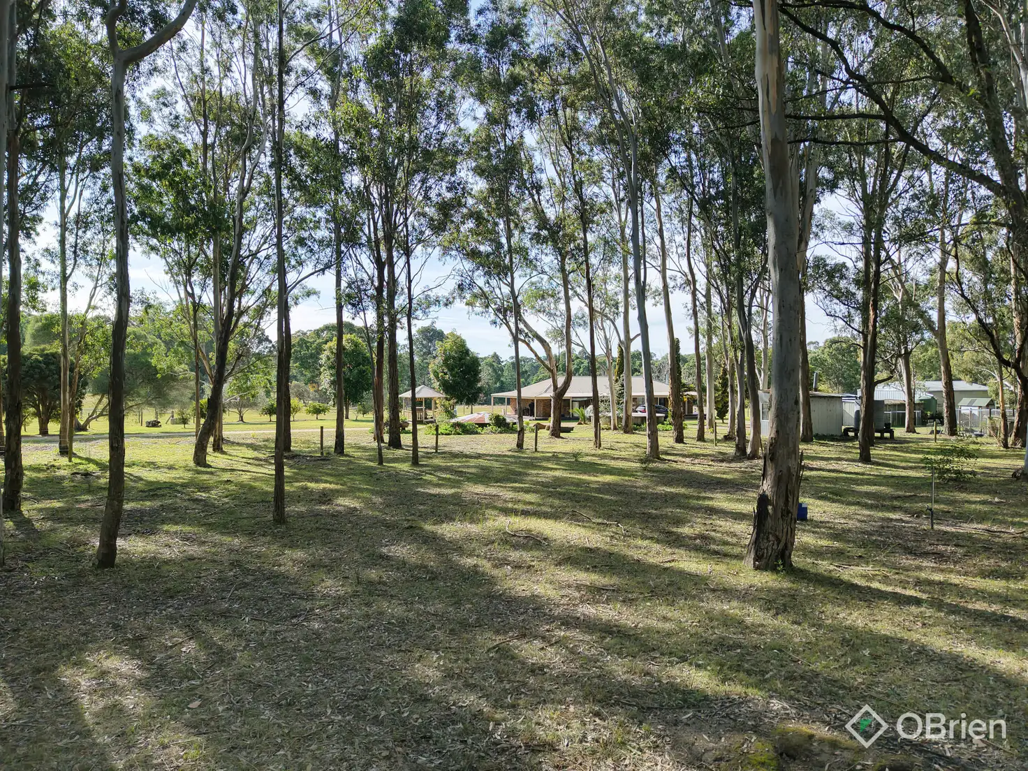 Main view of Homely house listing, 198 Pages Road, Tambo Upper VIC 3885