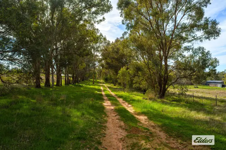 Seventh view of Homely land listing, 103 & 114 McLeod Street, Gerogery NSW 2642