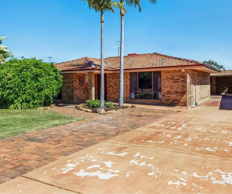 Second view of Homely house listing, 49 Grebe Street, Stirling WA 6021