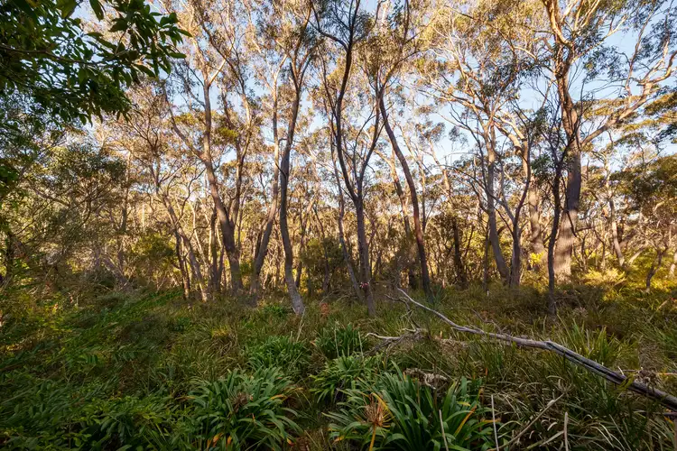 Second view of Homely land listing, 63-69 Kanimbla Street, Leura NSW 2780