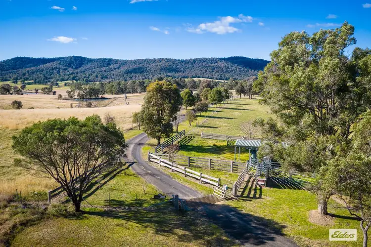 Second view of Homely rural property listing, 1281 Princes Highway, Frogs Hollow NSW 2550