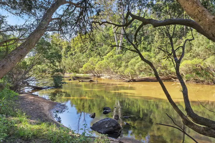 691 Lower Kangaroo Creek Road, Coutts Crossing NSW 2460