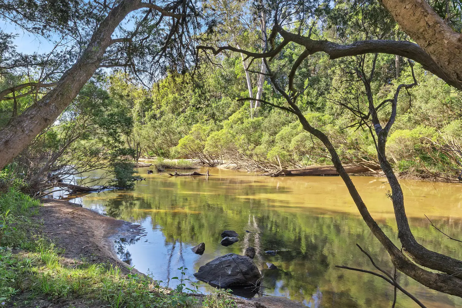 Main view of Homely rural property listing, 691 Lower Kangaroo Creek Road, Coutts Crossing NSW 2460