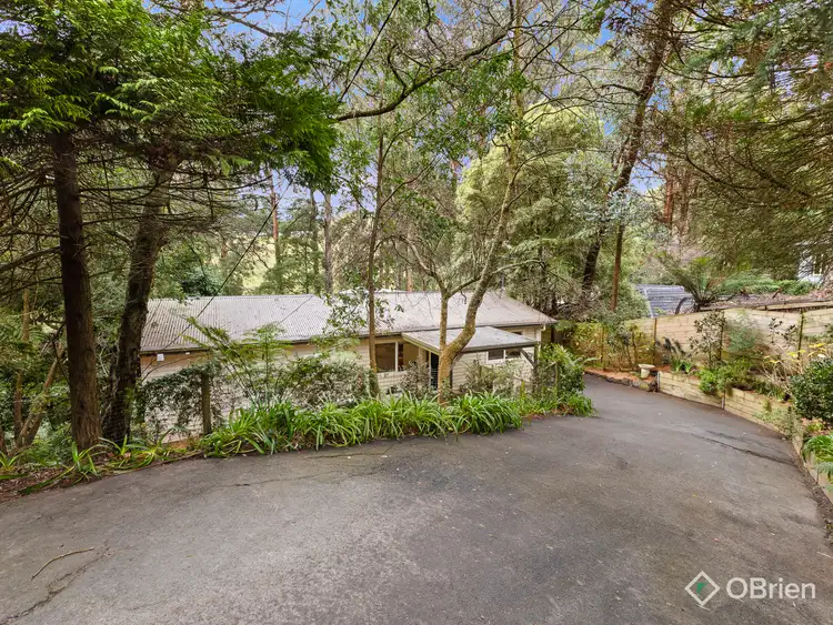 Fifth view of Homely house listing, 10 Stanley Street, Olinda VIC 3788