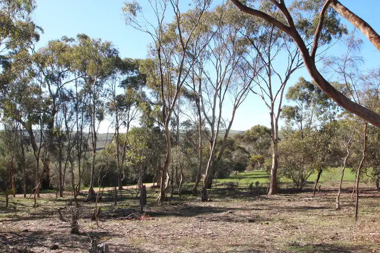 West Terrace