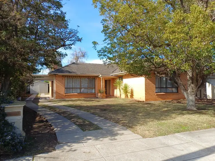 17 Shelley Avenue, North Plympton SA 5037