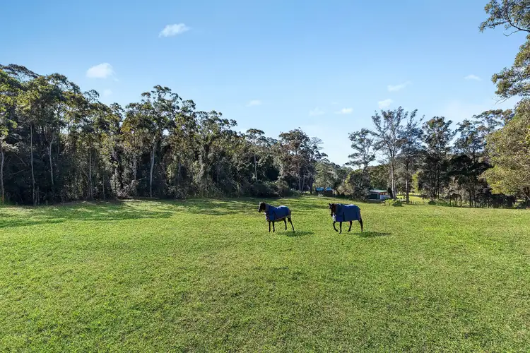 Main view of Homely rural property listing, 106 Footts Road, Ourimbah NSW 2258