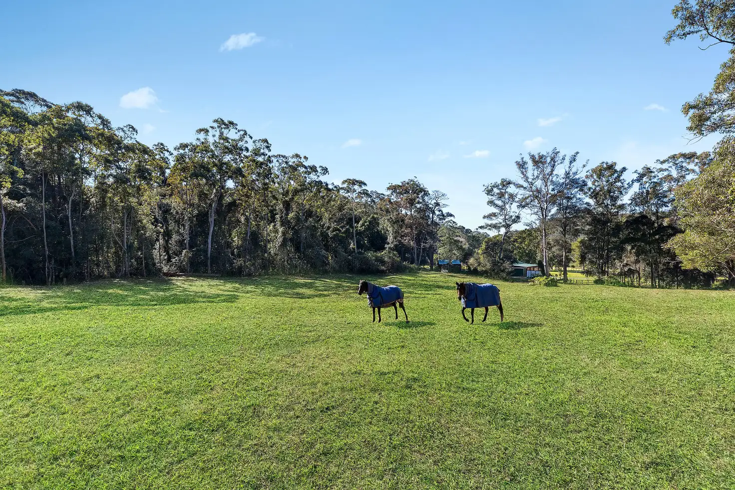 Main view of Homely rural property listing, 106 Footts Road, Ourimbah NSW 2258