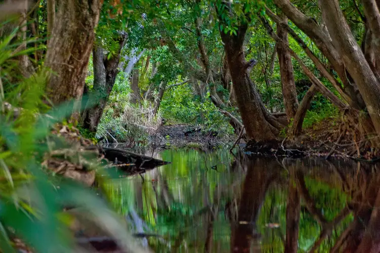 LOT 4, 50 Hulcombe Road, Highvale QLD 4520