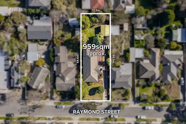 Main view of Homely house listing, 24 Raymond Street, Blackburn North VIC 3130