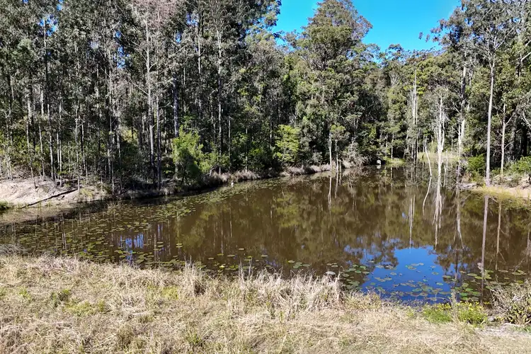 Fifth view of Homely rural property listing, 103 Wirrang Drive, Dondingalong NSW 2440