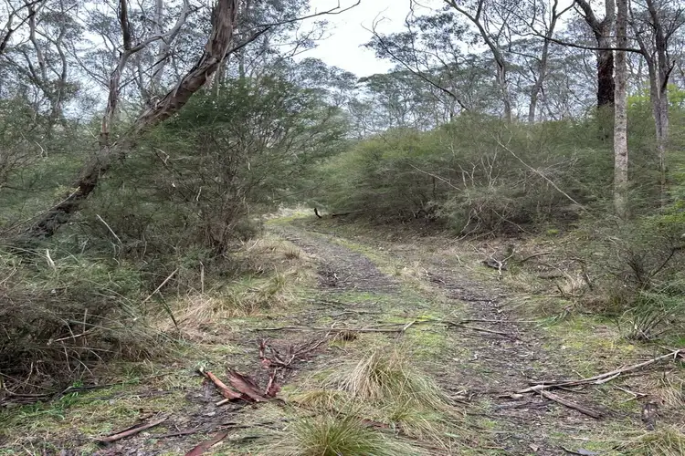 Fifth view of Homely land listing, 2 Pigeon Bank Road, North Warrandyte VIC 3113