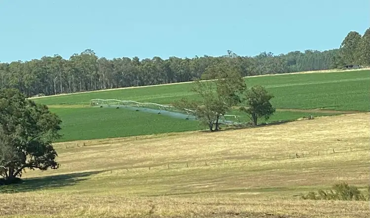 Main view of Homely rural property listing, Ringbark Road, Manjimup WA 6258