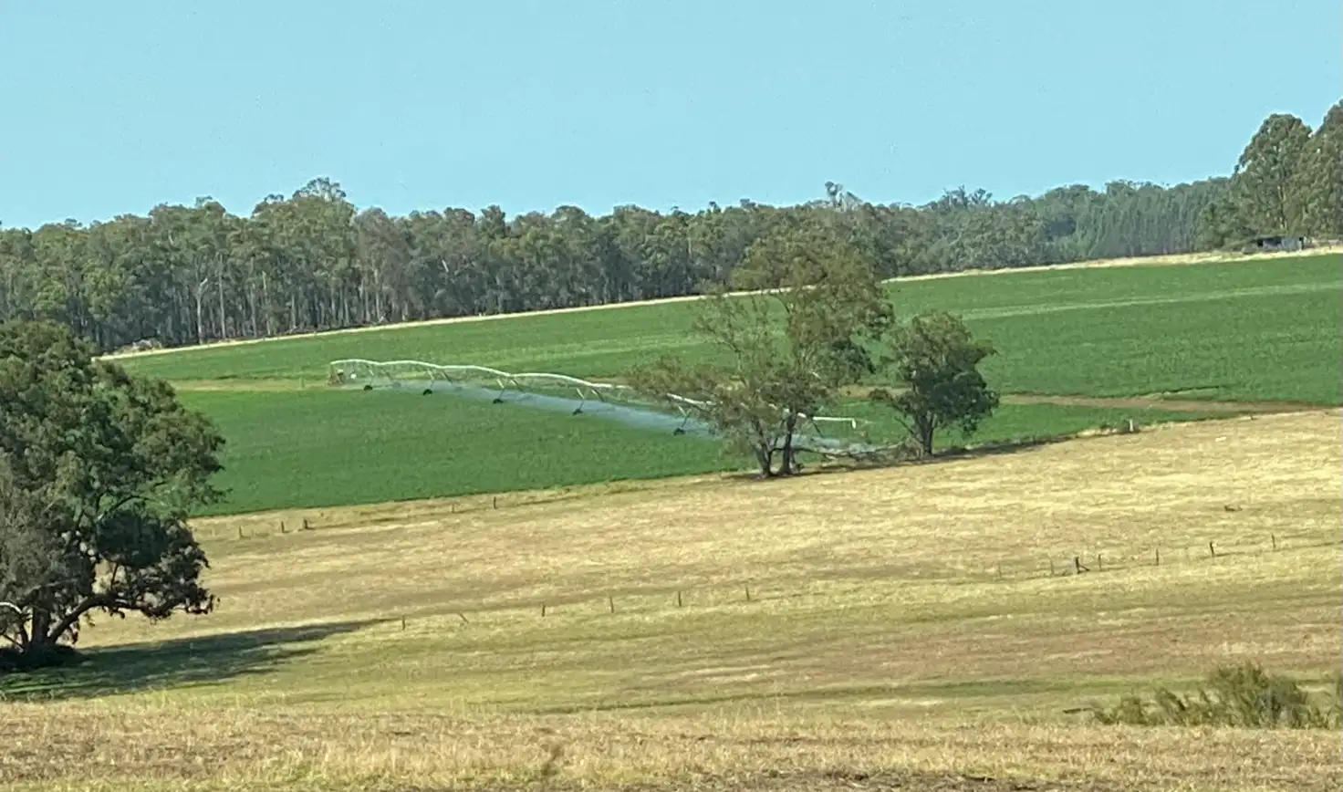 Main view of Homely rural property listing, Ringbark Road, Manjimup WA 6258