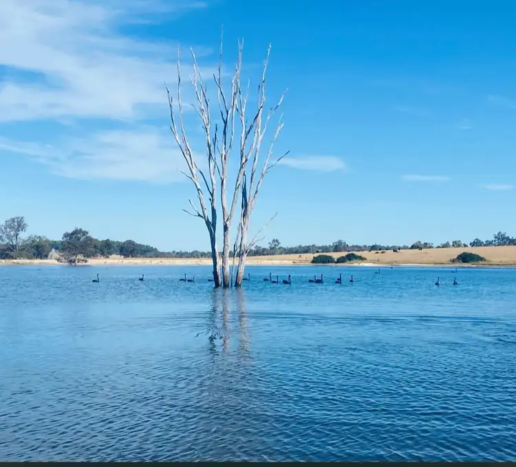 Fourth view of Homely rural property listing, Ringbark Road, Ringbark WA 6258