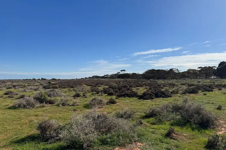 LOT 387 North Parham Road, Parham SA 5501