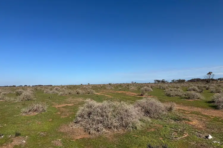 Fifth view of Homely rural property listing, LOT 387 North Parham Road, Parham SA 5501