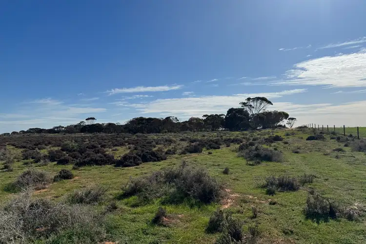 Sixth view of Homely rural property listing, LOT 387 North Parham Road, Parham SA 5501