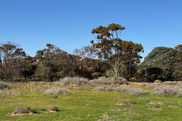 Seventh view of Homely rural property listing, LOT 387 North Parham Road, Parham SA 5501