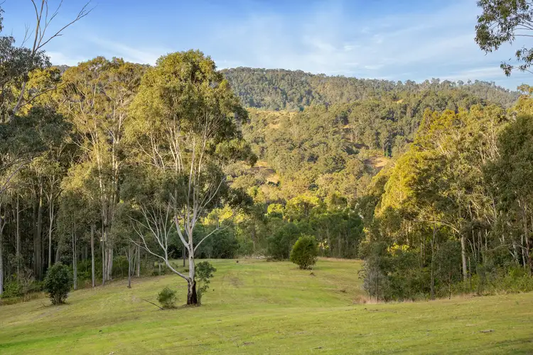 98 Parishs Road, Dungog NSW 2420