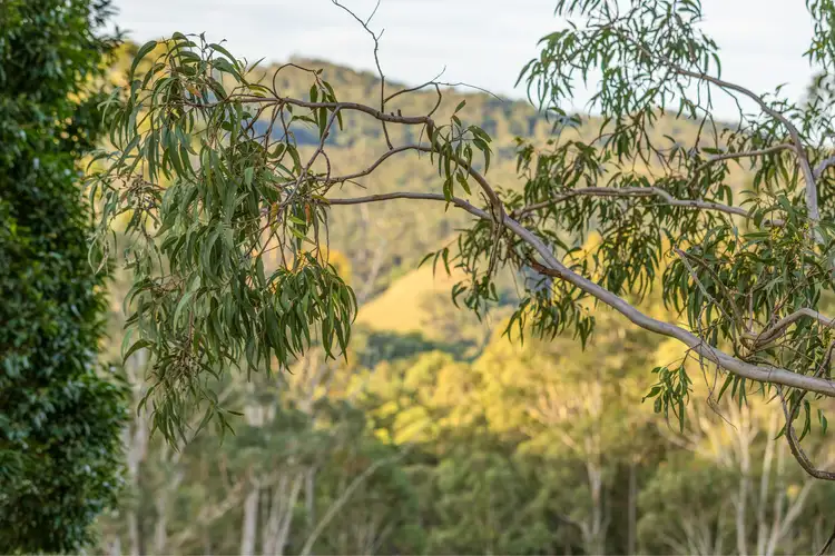 Seventh view of Homely rural property listing, 98 Parishs Road, Dungog NSW 2420