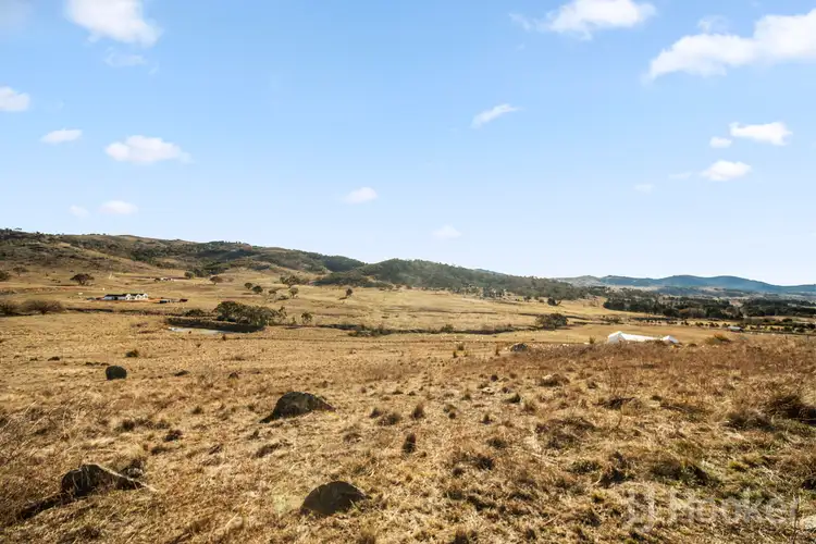 Fourth view of Homely rural property listing, 29 Scott Street, Burra NSW 2620