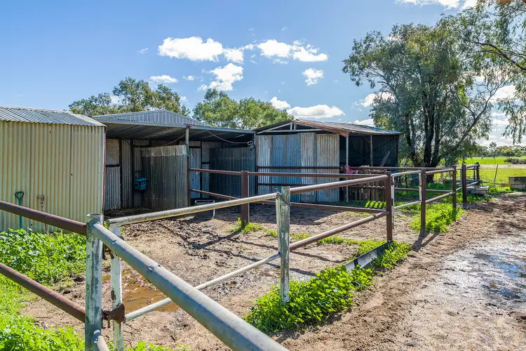 Seventh view of Homely house listing, 267 Long Street, Moora WA 6510