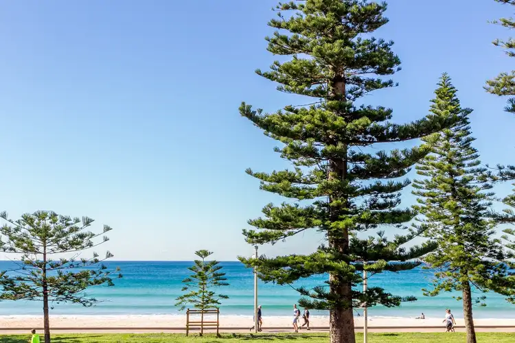 Second view of Homely apartment listing, 2/88 North Steyne, Manly NSW 2095