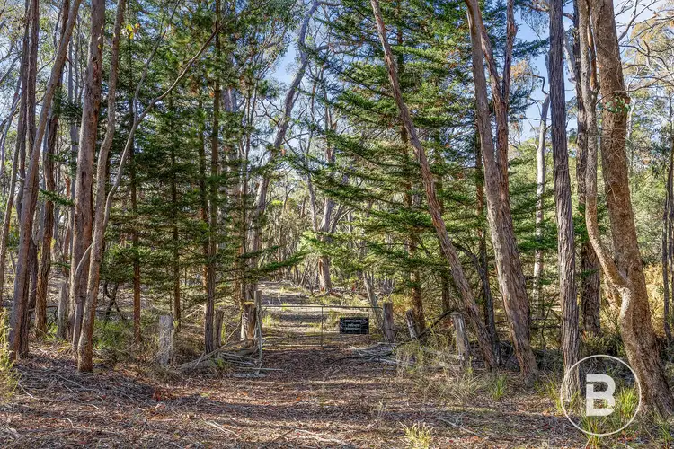 Third view of Homely land listing, 115 Belltopper Road, Drummond North VIC 3446