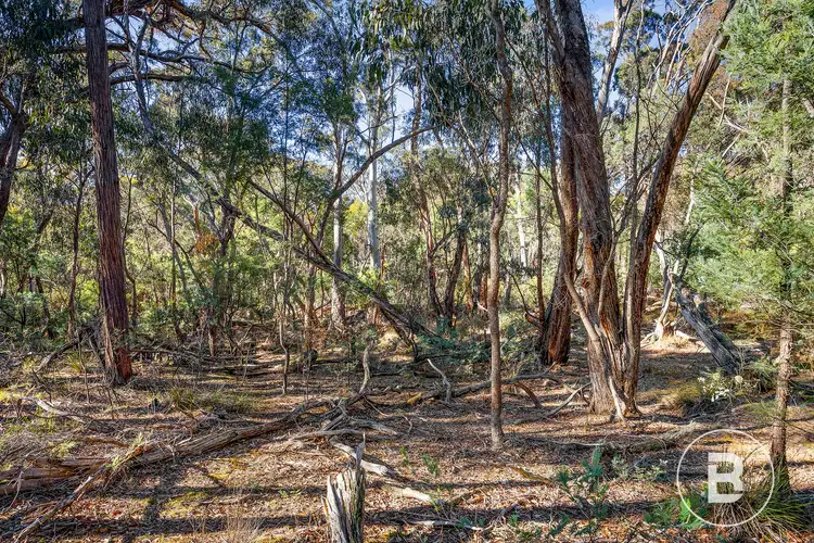Fifth view of Homely land listing, 115 Belltopper Road, Drummond North VIC 3446