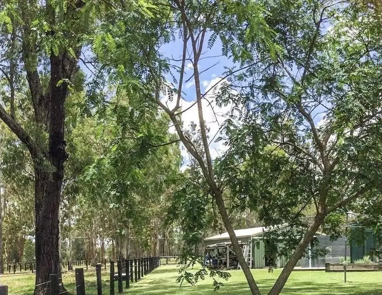 Third view of Homely rural property listing, 155-163 Boorah Road, Jimboomba QLD 4280