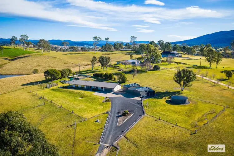 Main view of Homely rural property listing, 631 Angledale Road, Bega NSW 2550